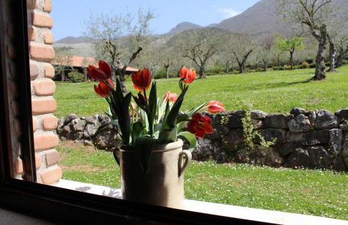 Agriturismo IL CASTAGNETO - Foto 12