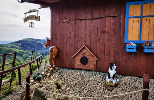 Agroturystyka Faron - Foto 28