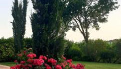 Agriturismo Il Casale Dei Gelsi - Foto 3