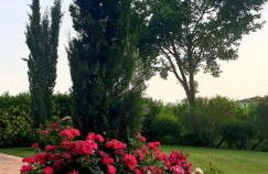 Agriturismo Il Casale Dei Gelsi - Foto 3