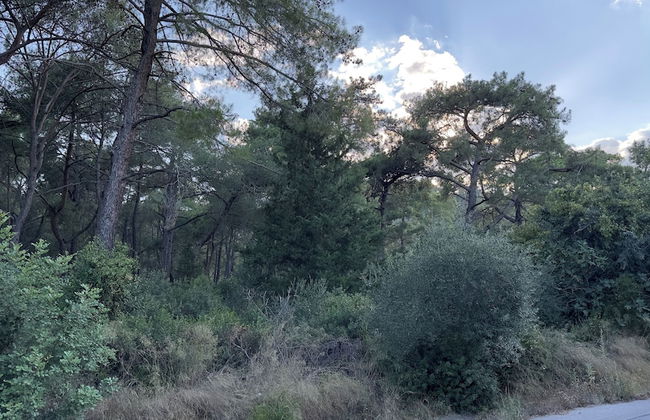 BONİTO HOUSE - Foto 34