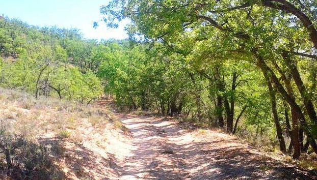 Tour in Brihuega - Photo 5