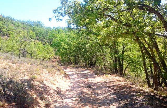 Tour in Brihuega - Photo 5