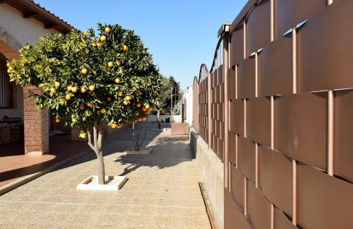 La Casona del Bullaque - Foto 55