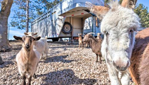 Modern Farmhouse with Patio, Grill and Mtn Views! - Foto 2