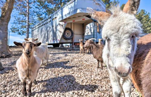 Modern Farmhouse with Patio, Grill and Mtn Views! - Foto 2