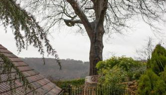 Garden flat - Foto 4