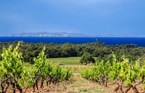 Studio cabine Les Rives de la Favière piscine et tennis les pieds dans l'eau - Foto 13