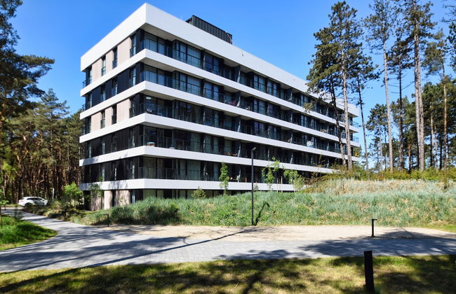 RentPlanet - Shellter - Foto 51