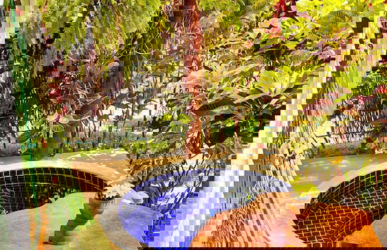 Bangatacho - Foto 38