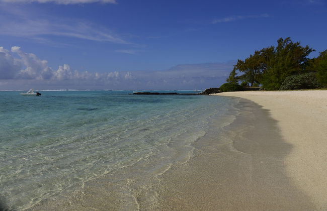 Pingouinvillas - Photo 27