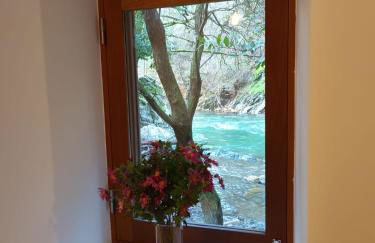 Moinho das fragas - Foto 38