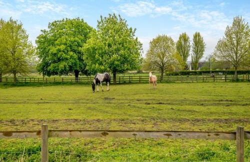 St Peters - Photo 29