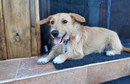 Countryside home Villa Luna with Private Yard & Jacuzzi - Foto 46