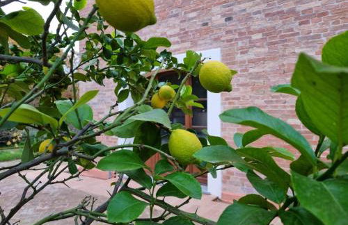 Fornace del Conte - Foto 14