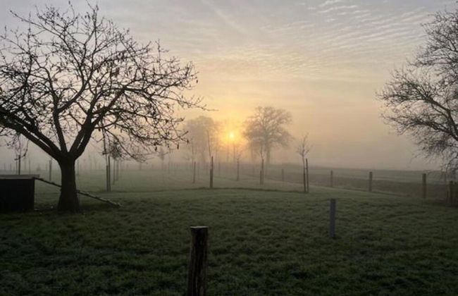House on Water, Surrounded by Nature - Photo 22