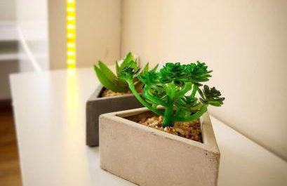 Bigorrilho • 2Q • Self Check-in • Pet • Barigui - Foto 46