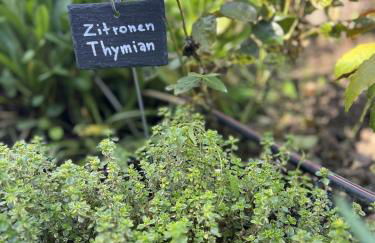 Luxus Studio 10 Min zur Porta Nigra inkl Parkplatz - Foto 59