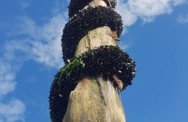Cœurs en Bay - Maison romantique avec parking et terrasse - Foto 30