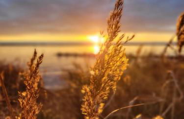 Ferienwohnung Bea´s Bergblick - Foto 3