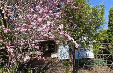 Domek na Czapli - Foto 14