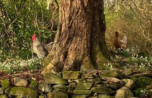 Beautiful Listed Mansion with incredible woodland views - Photo 46