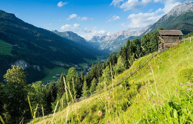 Apartment in Kleinarl Near Ski Slopes - Foto 25