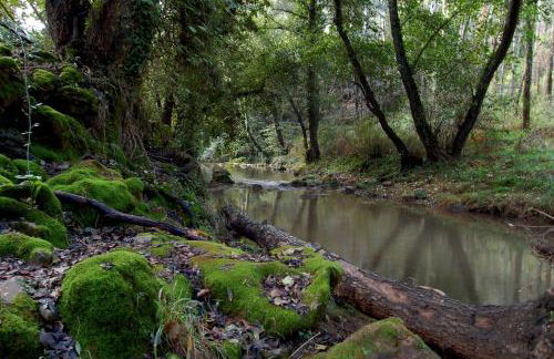 Batán de las Monjas - Foto 51
