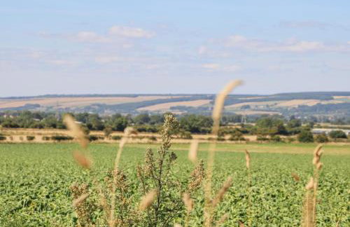 Lazy Dayz Lodge - Foto 21