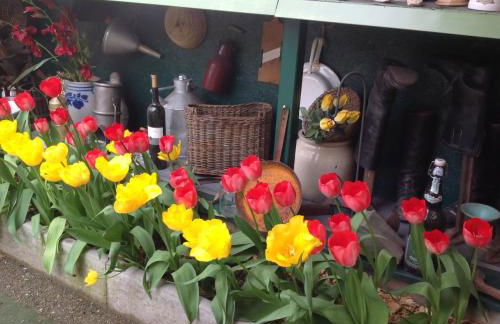 Landpension Villa Dominikus - Foto 16