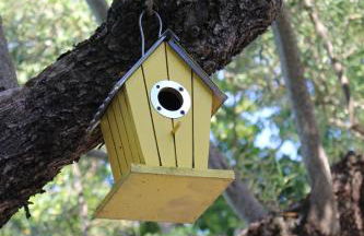 Tapada da Rabela - Reserva Natural - Foto 42