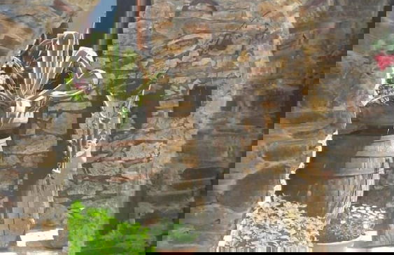 Tenute Margana - Foto 35