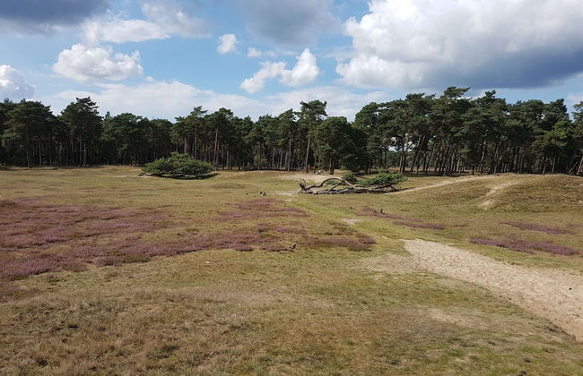 Restful Holiday Home in Lemele - Foto 24