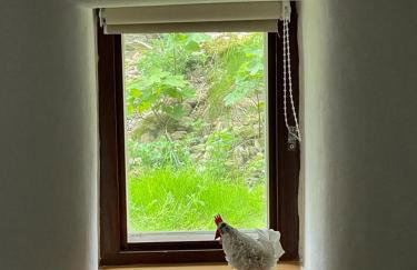 The Green Hayloft, Lakes & Dales - Photo 26