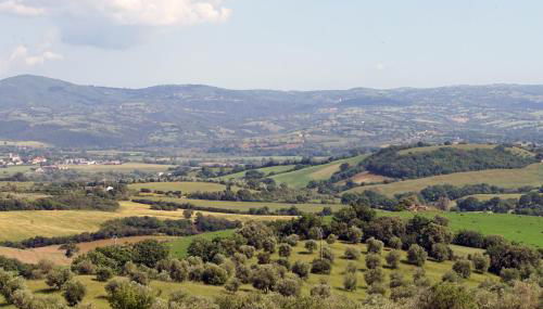 Marrucheti 82 - Foto 5