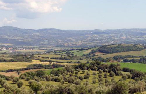 Marrucheti 82 - Foto 5