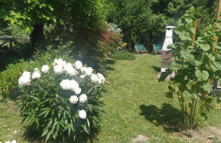 Relaks w boberkach Prywatna sala do Bilarda - Foto 54