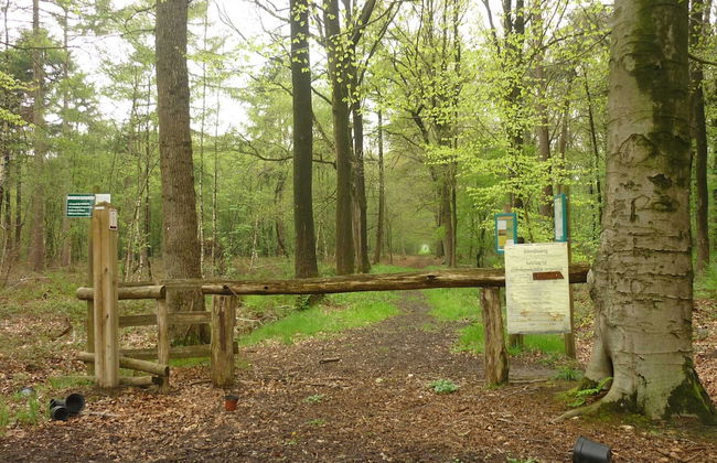 Quiet Cottage near Woods - Foto 44