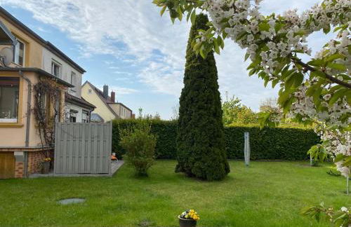 Schöne Maisonettewohnung in der Barlachstadt Güstrow - Foto 22