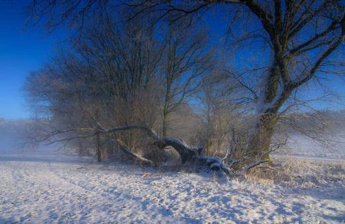 Modernes Gartenatelier am Mühlenfließ - Foto 30
