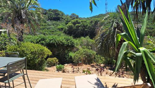 Les Bromélias Ile du Levant - Foto 2