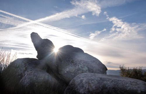 Casa Ypsilon Olive Oil - Photo 22