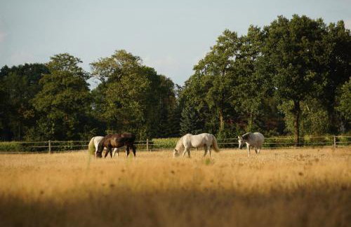 Harmonie Tiny House - Photo 5