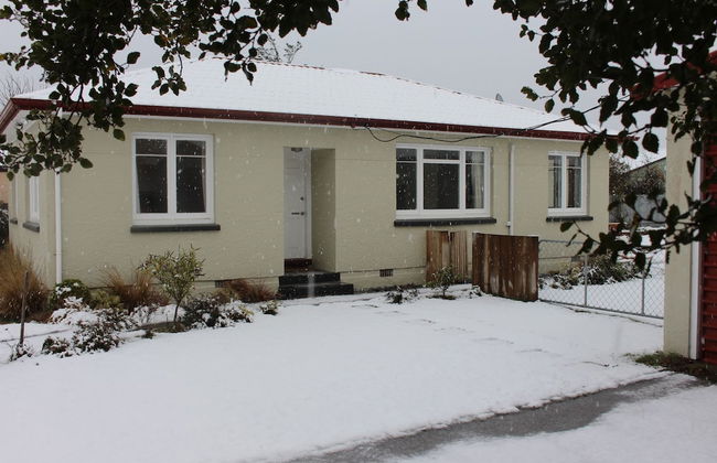 The Green Gecko - Foto 22