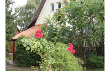 Apartament Leśny - Foto 1