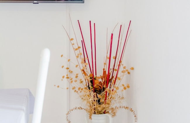 Apartments Iggy - Foto 6