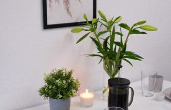 Moderne City Apartments im Stadtzentrum - Foto 32