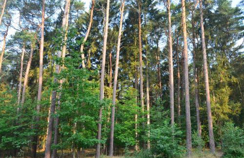 Apartament Blue Mare Pod Wiewiórką - Foto 19