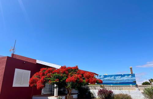 Casa Drago - Photo 15