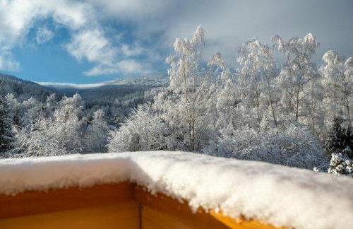 AleBale Przesieka luksusowy dom z bali z widokiem na Karkonosze - Foto 50
